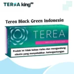 IQOS TEREA Black Green Indonesia sticks with menthol and green-fruit notes, compatible with IQOS ILUMA, available in Dubai, UAE