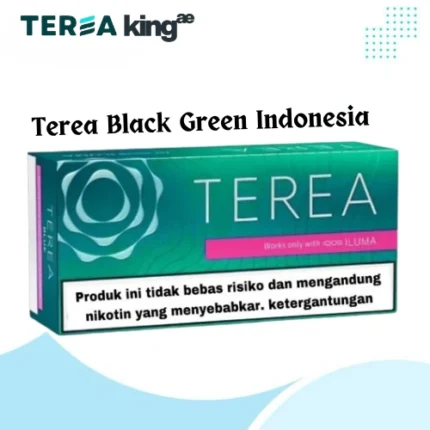 IQOS TEREA Black Green Indonesia sticks with menthol and green-fruit notes, compatible with IQOS ILUMA, available in Dubai, UAE