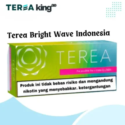 IQOS Terea Bright Wave Indonesia menthol and green fruit tobacco sticks for IQOS ILUMA in Dubai